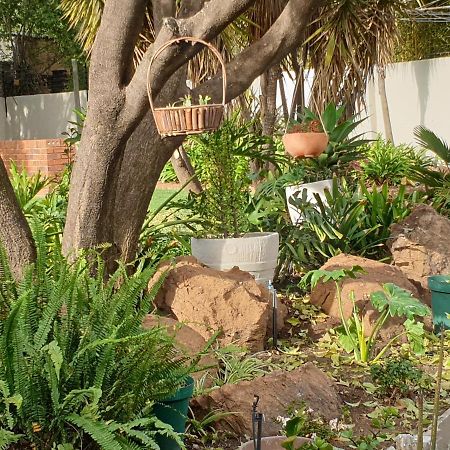 Elephant Bush Guest Cottage Alberton Luaran gambar